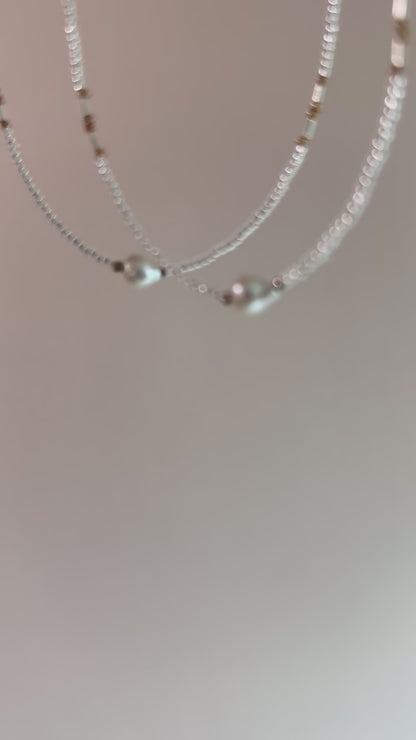Anteprima Silver Seed